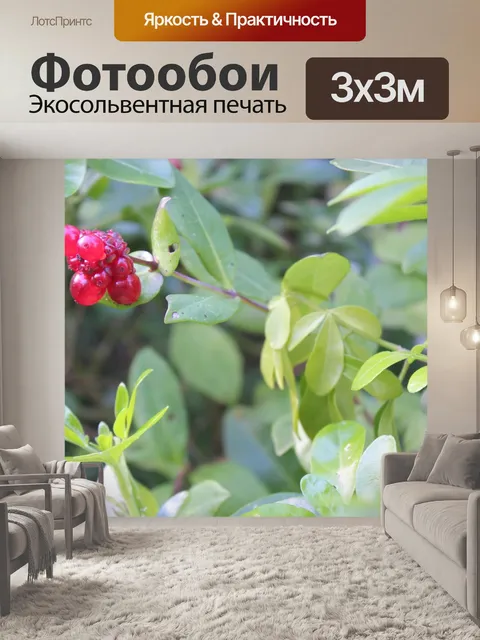 Фотообои Природа