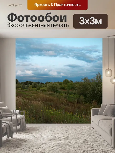 Фотообои Осенний пейзаж деревья небо