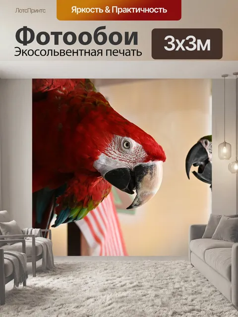 Фотообои Птицы