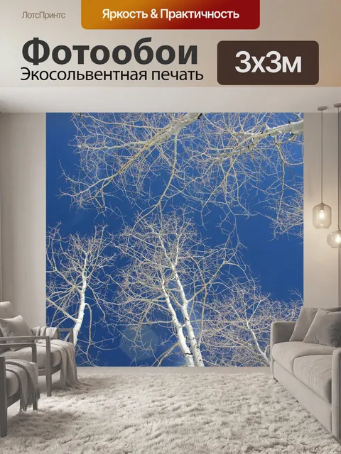 Фотообои Деревья