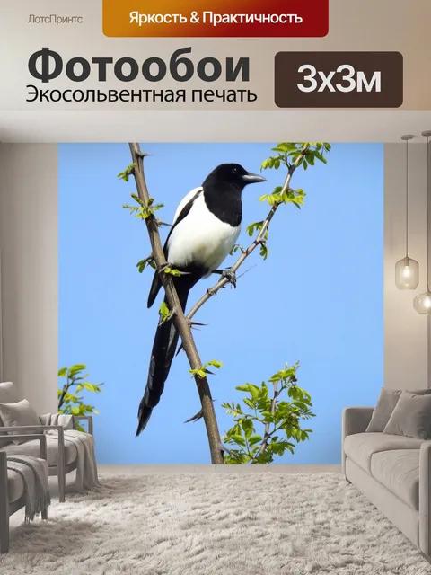 Фотообои Птицы