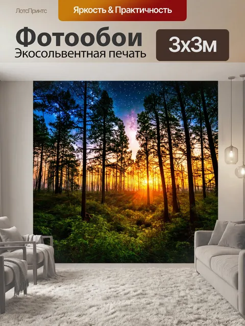 Фотообои лес с закатом, создающим яркий контраст с ночным небом