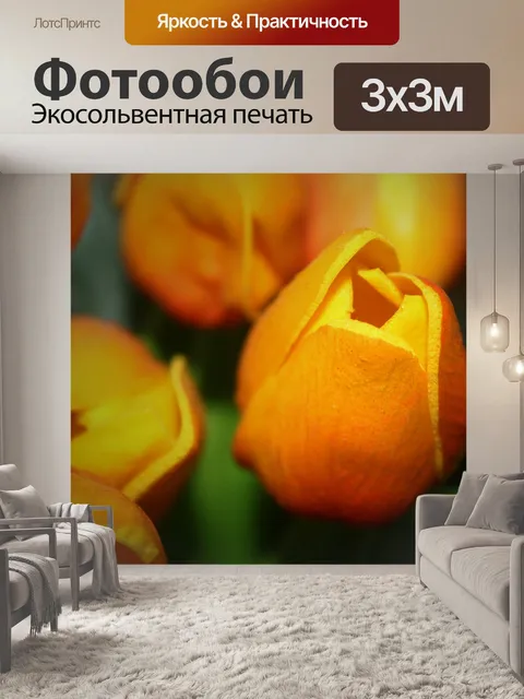 Фотообои Тюльпан