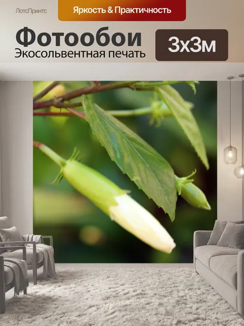 Фотообои Цветочные почки и зеленые листья