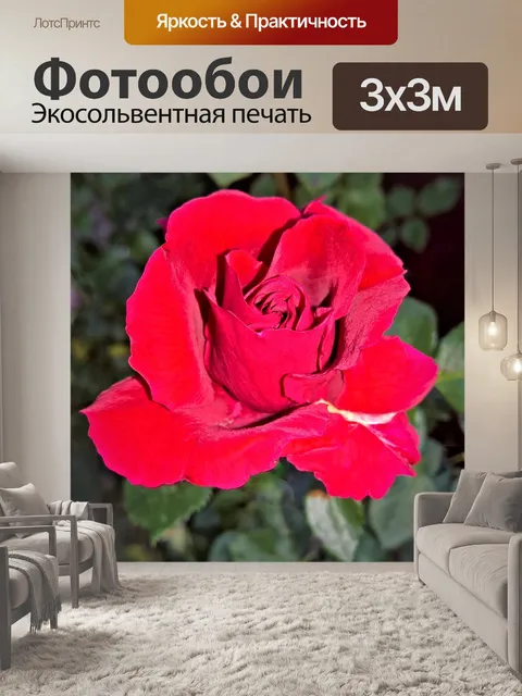 Фотообои Цветок