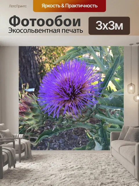 Фотообои Цветы