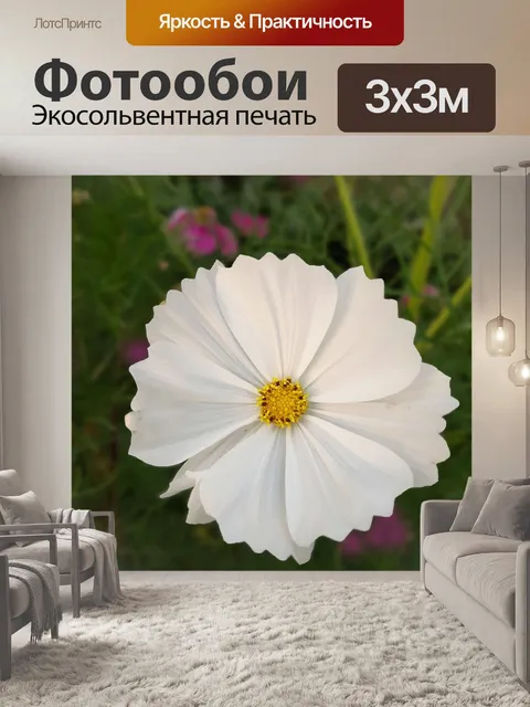 Фотообои Цветок