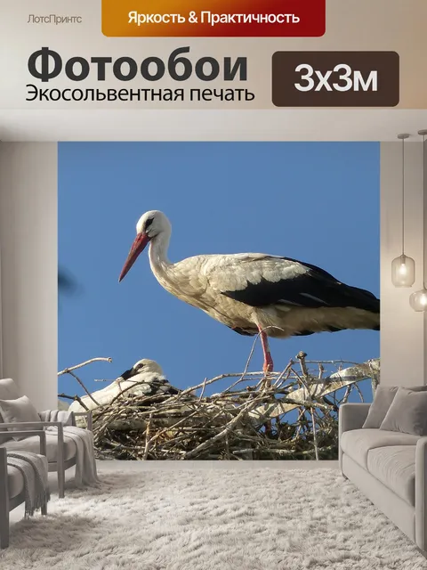 Фотообои Аист