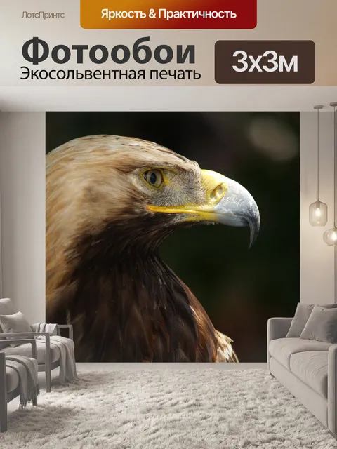 Фотообои Золотой орел