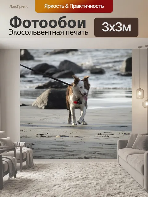Фотообои Собака