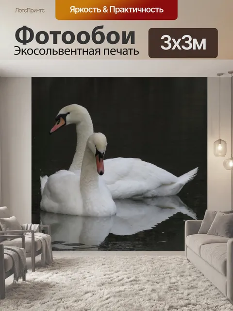 Фотообои Лебеди