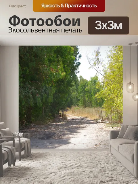 Фотообои Грязная улица в эвкалиптовой роще