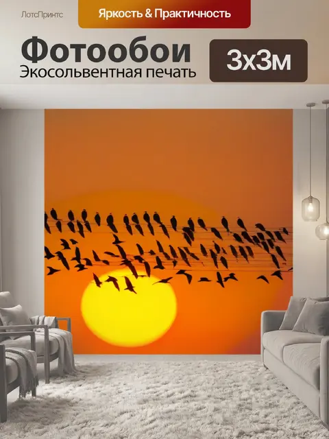 Фотообои утренние птицы в ярком свете рассвета