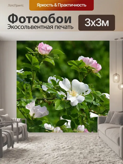 Фотообои Цветы