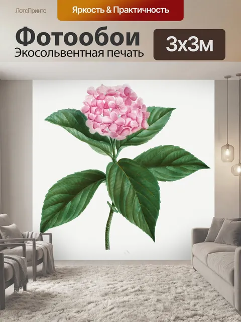 Фотообои Гортензия цветок нарисовал искусство