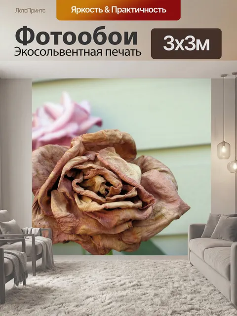 Фотообои старая роза