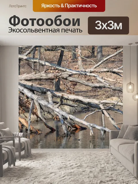 Фотообои Все мы падаем