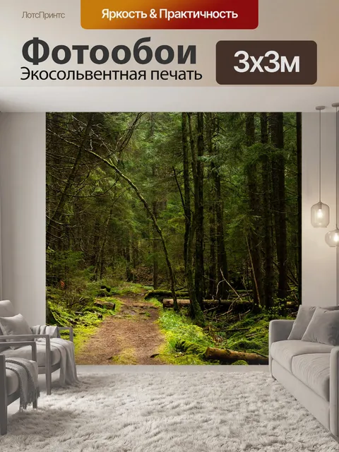 Фотообои Дорога