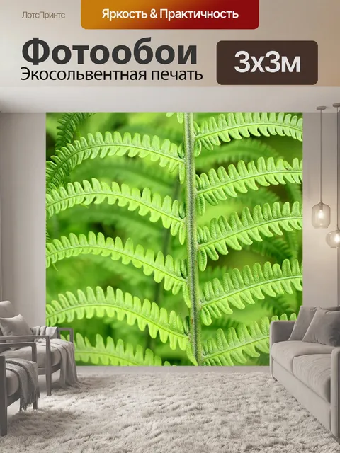 Фотообои Папоротник