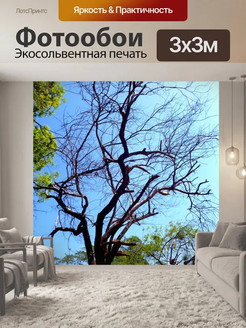 Фотообои Облака