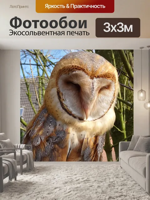 Фотообои Дерево