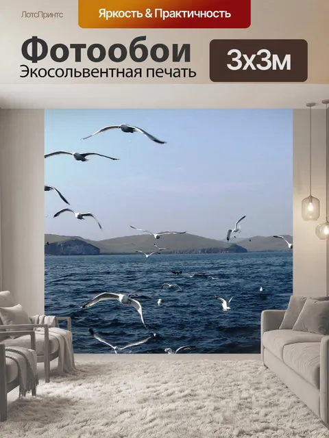 Фотообои Чайки