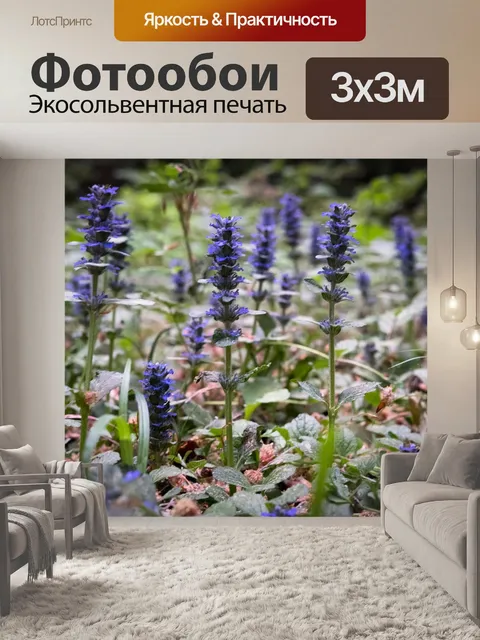 Фотообои Цветок