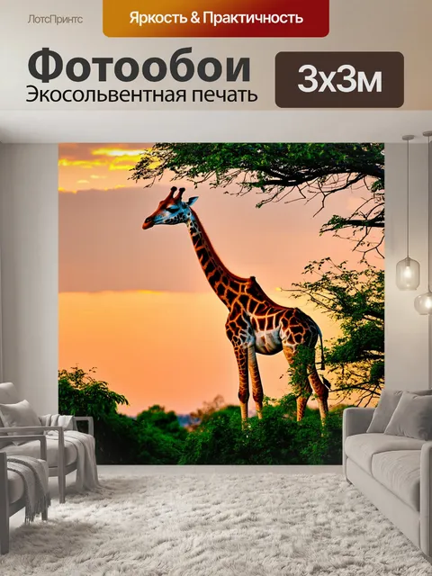 Фотообои жираф на фоне закатного неба