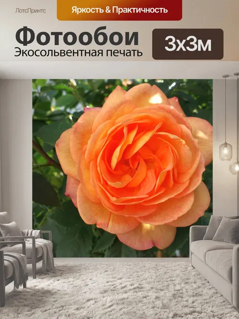 Фотообои Розы