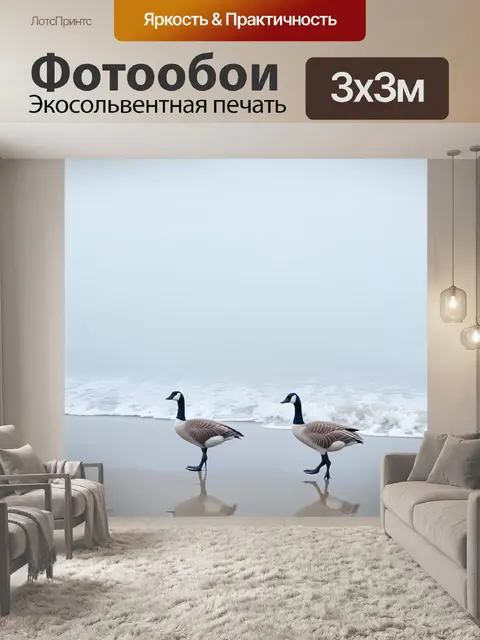 Фотообои в тумане утреннего рассвета гуси идут по берегу моря
