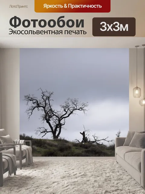 Фотообои Голые дерево