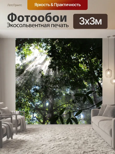 Фотообои Облачный лес