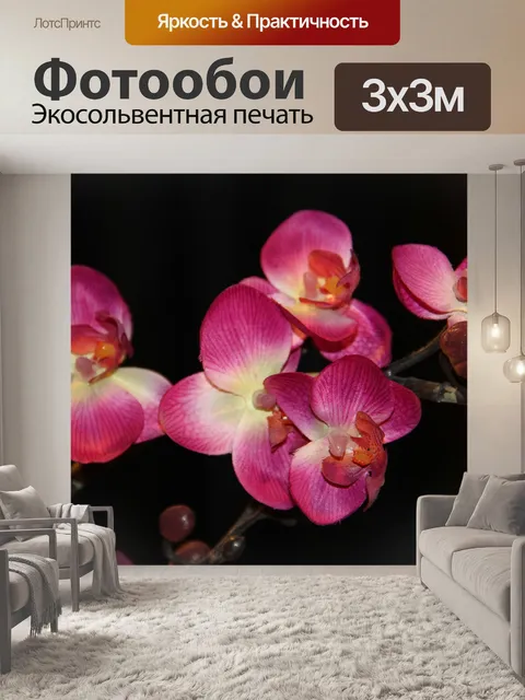 Фотообои Орхидея