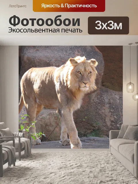 Фотообои Лев