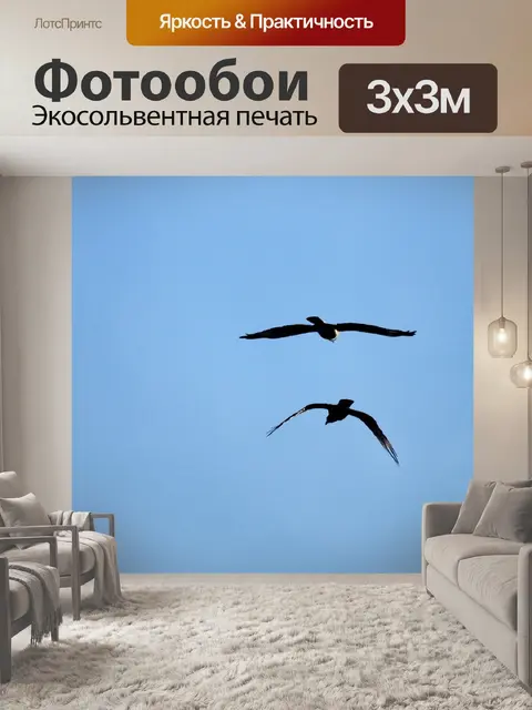 Фотообои Птицы