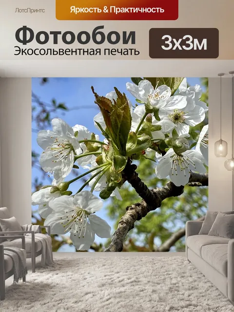 Фотообои Блоссом