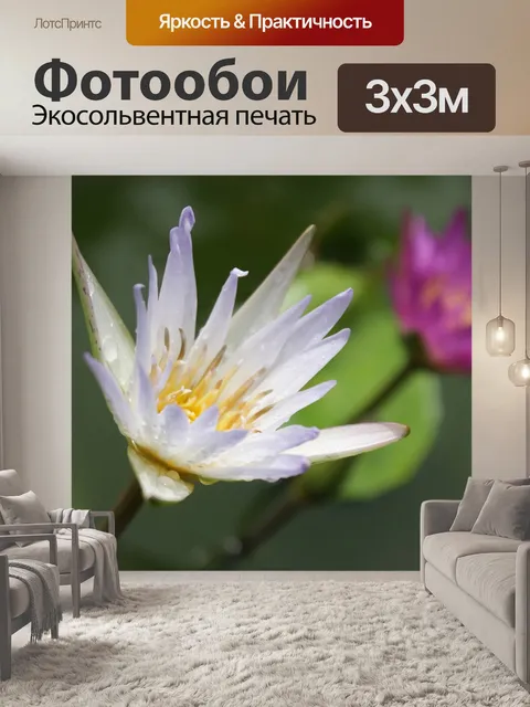 Фотообои Цветы