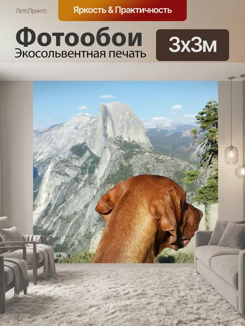 Фотообои Собака