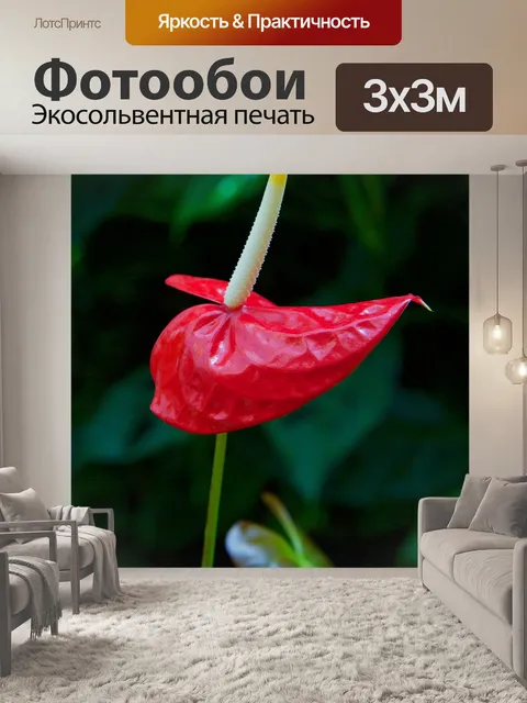 Фотообои Цветок