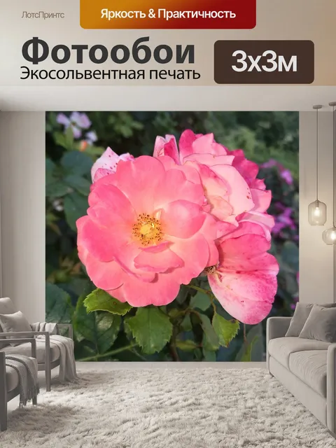 Фотообои Цветы