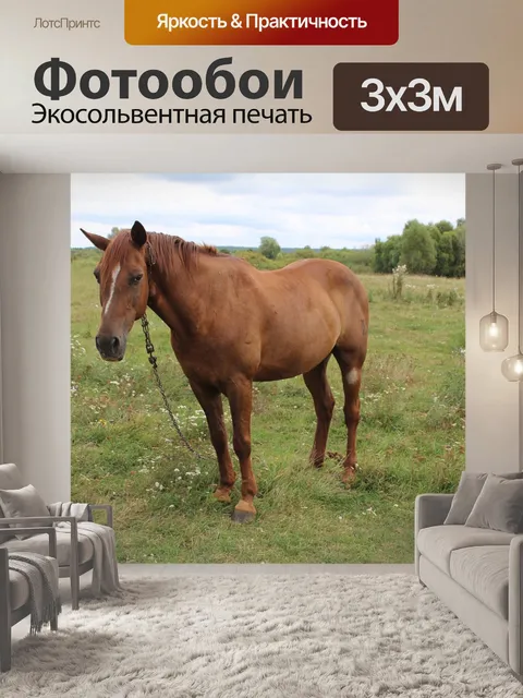 Фотообои Природа