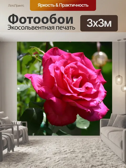 Фотообои Цветок