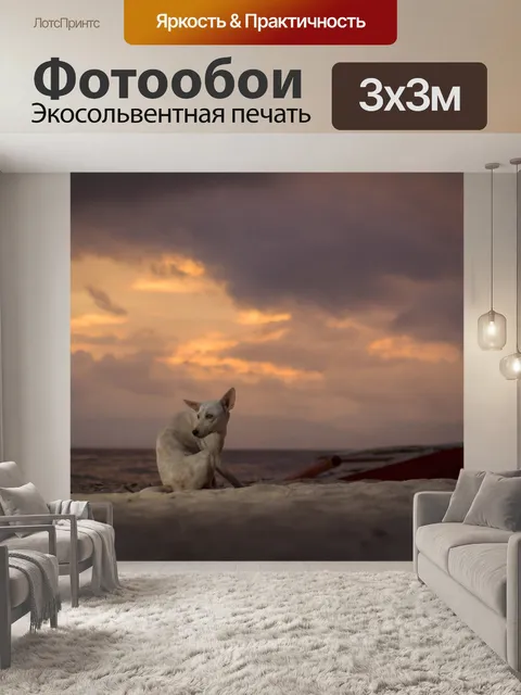 Фотообои Собака