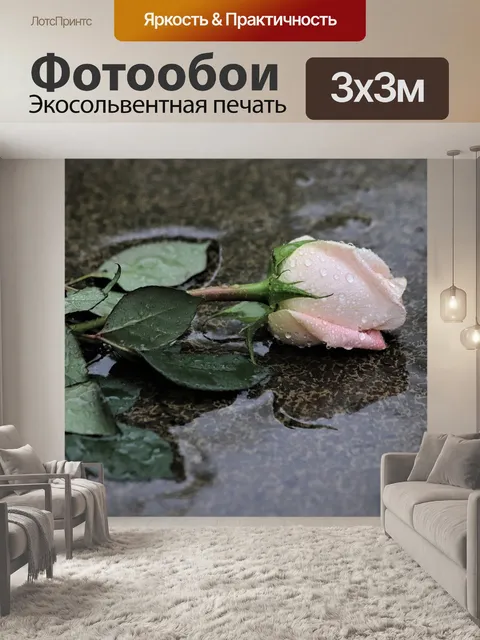Фотообои Розовые розы в дождь