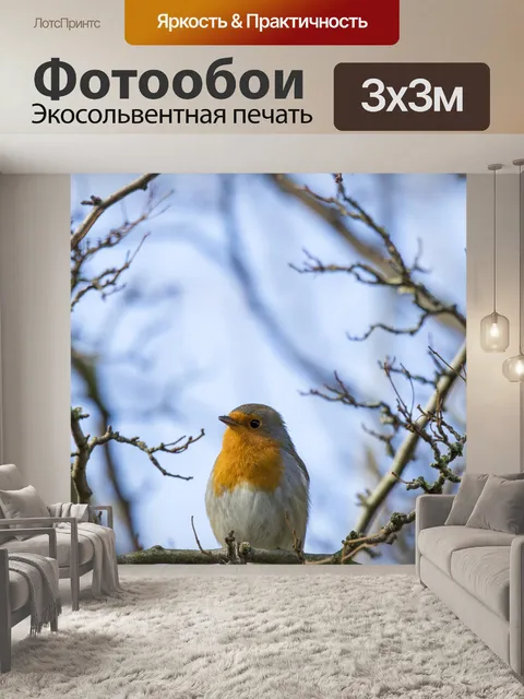 Фотообои Робин Эритакус рубекула