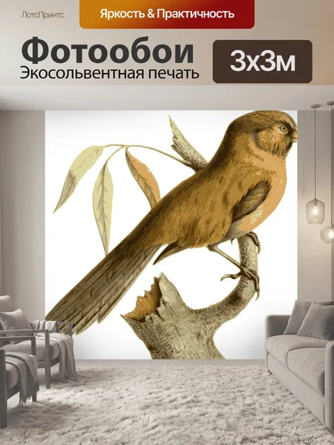 Фотообои Птица