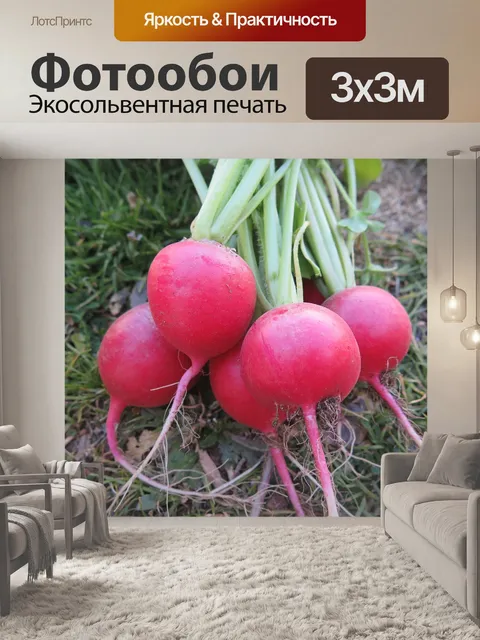 Фотообои Природа