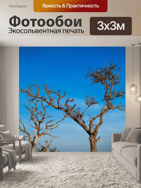 Фотообои Мертвое дерево, силуэт дерева