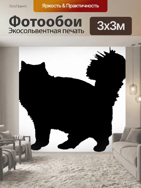 Фотообои Силуэт кошки