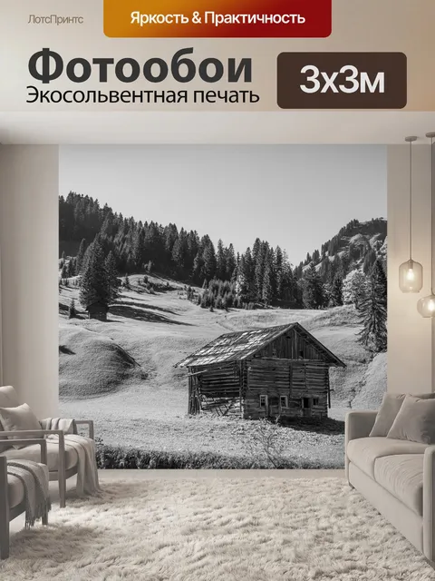 Фотообои Черно-белый